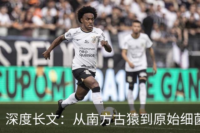 深度长文：从南方古猿到原始细菌，跨越38亿年寻找人类最远的亲戚！